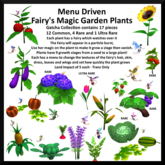 G17- Menu Driven Magic Growing Eggplant Plant - Boxed
