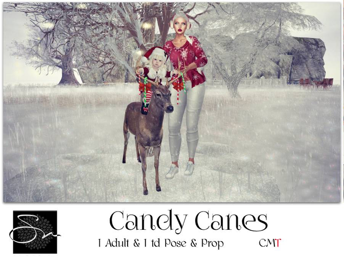 **SN~ Candy Canes