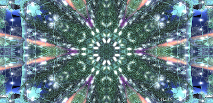SNOWFLAKE 1