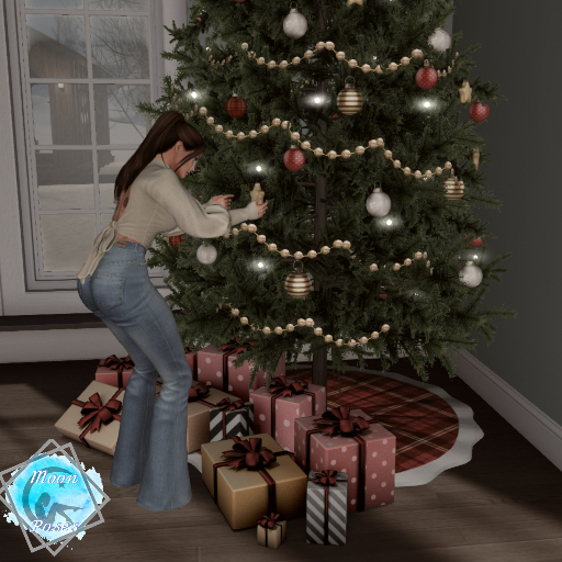 {Moon} Poses - Christmas Oranment *Wear To Unpack*