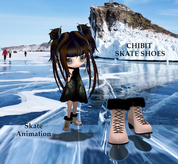 Chibit Skate Shoes / pink box