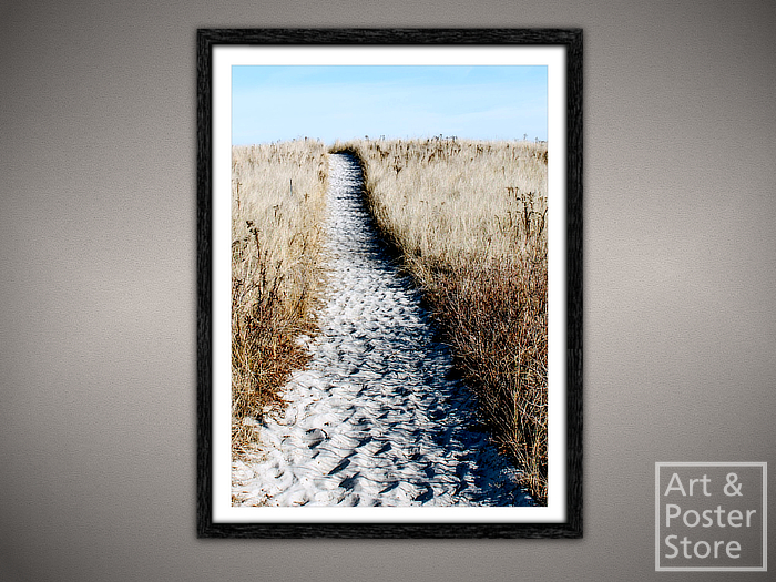 Beach Path | Scenic Photo Poster | Mesh Frame with 6 texture options 