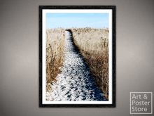 Beach Path | Scenic Photo Poster | Mesh Frame with 6 texture options 