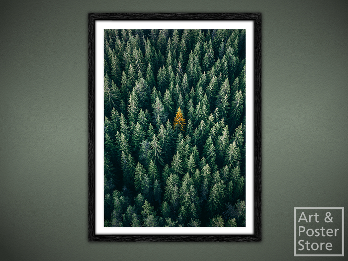 Pine Forest | Scenic Photo Poster | Mesh Frame with 6 texture options 