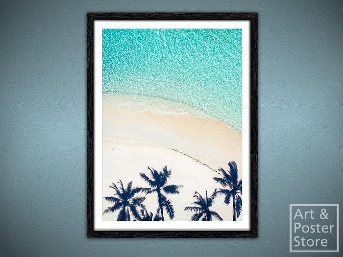 Palm Shadows | Scenic Photo Poster | Mesh Frame with 6 texture options 