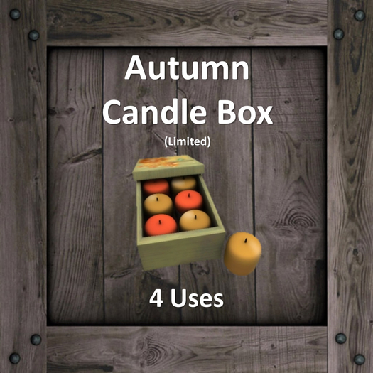 DFS TG Autumn Candle Box (Texture)