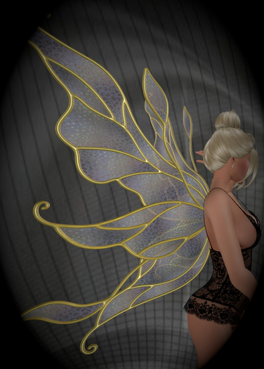 [LD] Aerwyna Snakeskin Wing 1