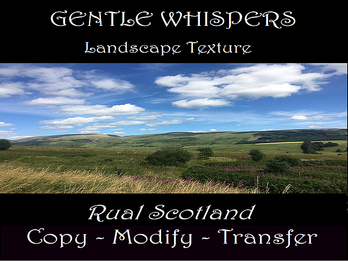 Scottish Landscape Texture