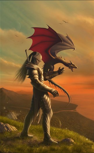 Warrior with a Dragon photo artwork with frame