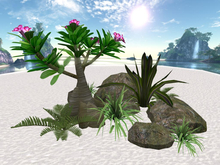 RW - Tropical Desert Rose Rock Garden "Hawea* CM