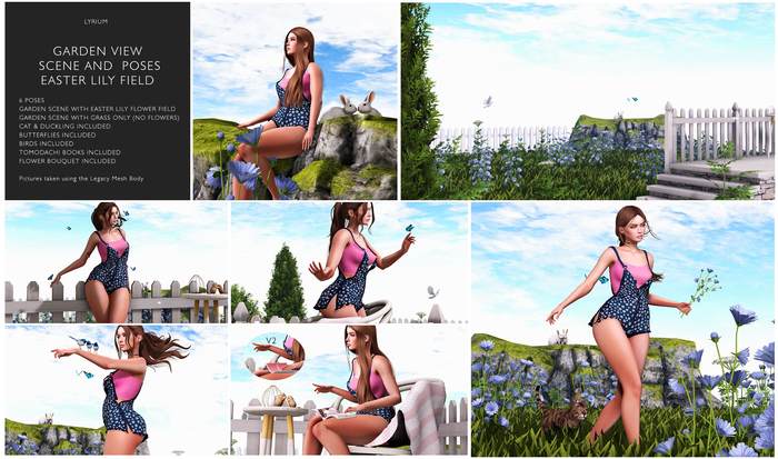 Lyrium. Garden View Scene - Chicory Field