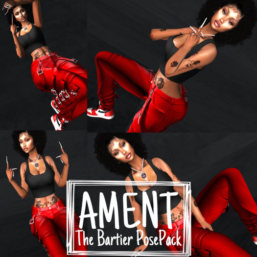 AMENT - The Bartier PosePack (Bento)