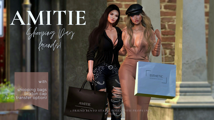 Amitie Shopping Day Friends 