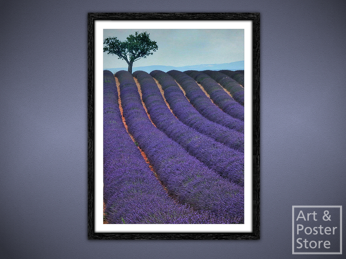 Lavender Field | Scenic Photo Poster | Mesh Frame with 6 texture options