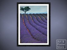 Lavender Field | Scenic Photo Poster | Mesh Frame with 6 texture options