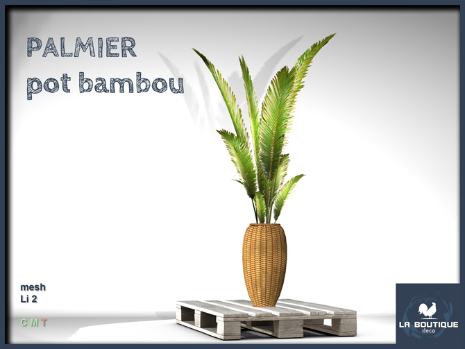 LB - Palmier pot bambou