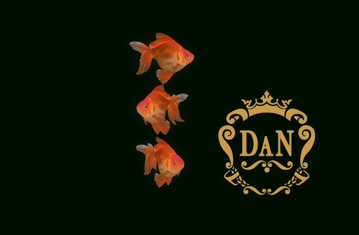 Goldfish 1 (LI) _ (FULL PERM)