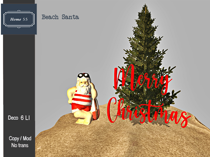 HOME 55 -  Beach Santa (Add to Unpack)