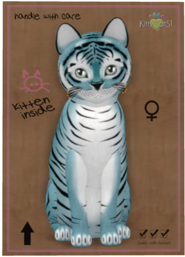 KittyCatS Box - Tiger! - Dusky Blue