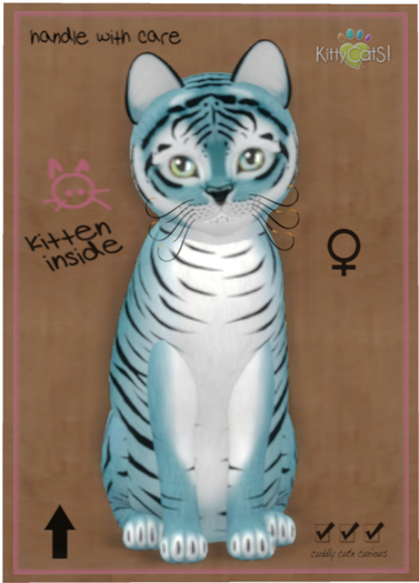 KittyCatS Box - Tiger! - Dusky Blue