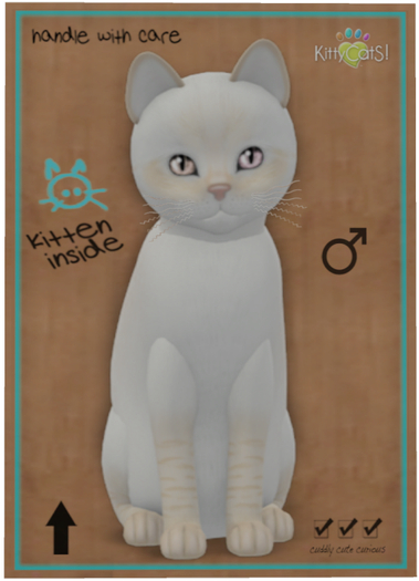 KittyCatS Box - Balinese - Cream Lynx