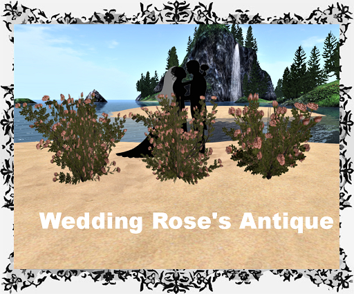 Wedding Rose Antique