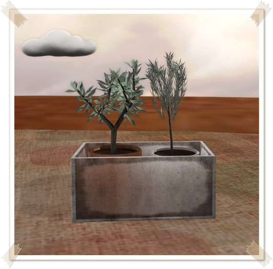 Scarlet Creative The Arcade June 15 - Rosemary Plant