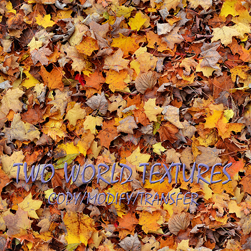 Nature Fall Leaves Yellow Orange Seamless Texture