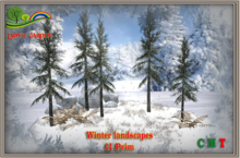 Lady's Garden - Winter landscapes 11 Prim