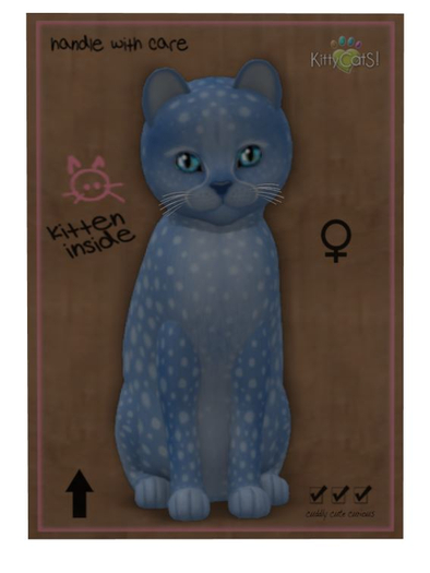 KittyCatS Box - Cheetah! Cheetah! - Blueberry - Girl