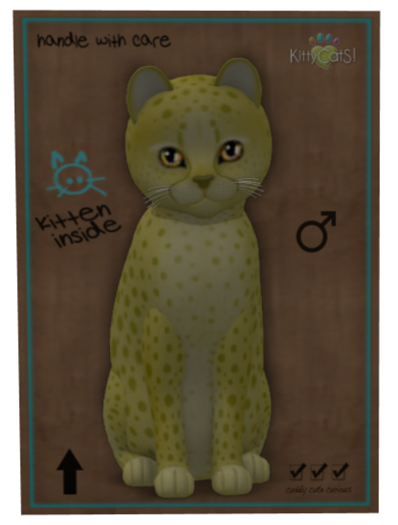 KittyCatS Box - Cheetah! Cheetah! - Lemon - Boy