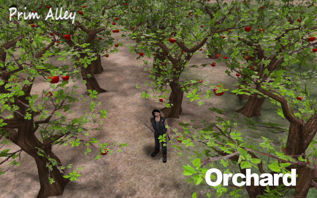 Prim Alley Orchard