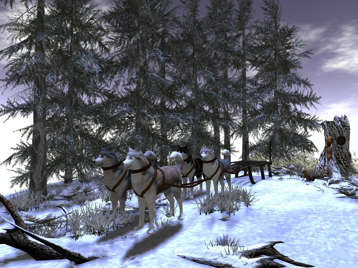 winter sleigh ride 
