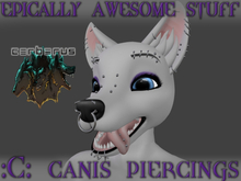 ~EAS~ C-Canis Piercings