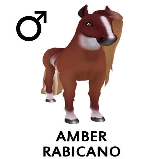 Amaretto Breedable Bundle Amber Rabicano 1