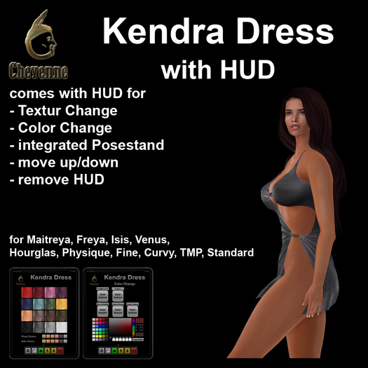 Cheyenne's Kendra Dress - DEMO