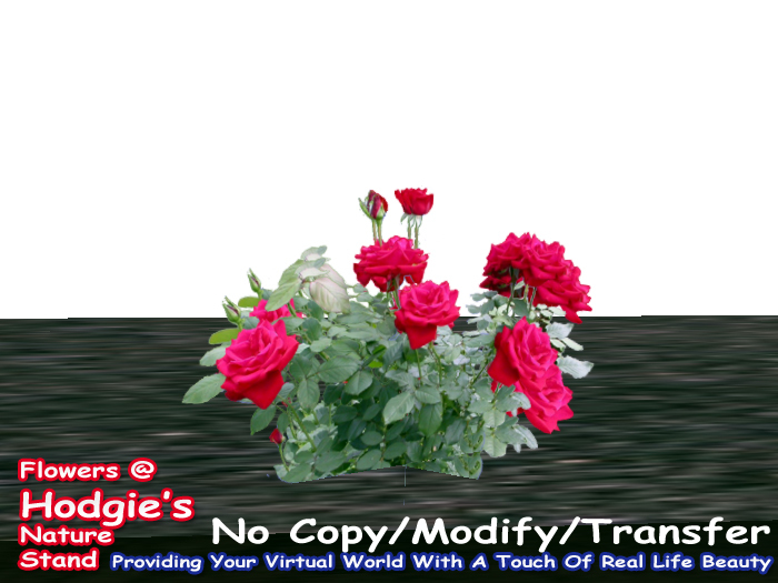 Red Rose Flexi Plant