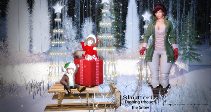 Shutter Up Package - Dashing through the Snow