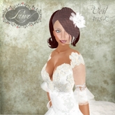 *Lurve* Bird Cage Veil