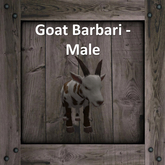 DFS Goat Barbari - Male (Texture)
