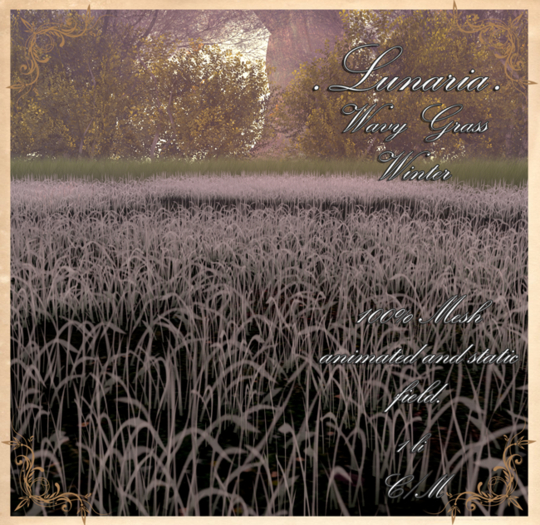 .Lunaria. Wavy Grass  - Winter {Add Me}