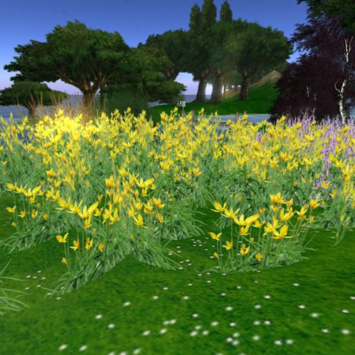 Box yellow flowers flexy ad