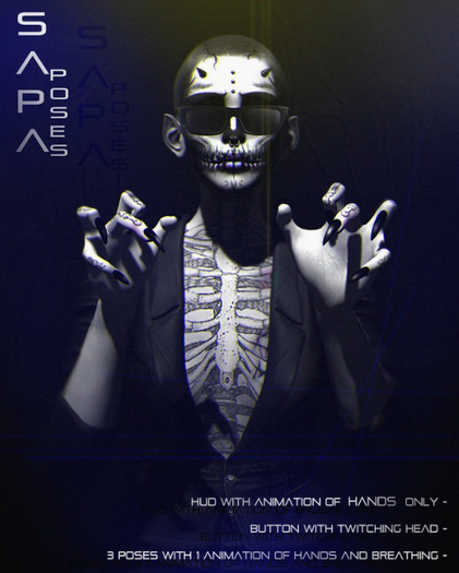 SAPA poses 94