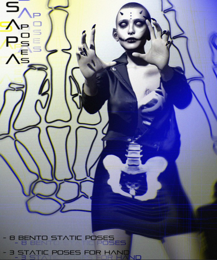 SAPA poses 95