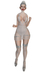 Snapshot 007