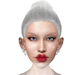 Snapshot 008