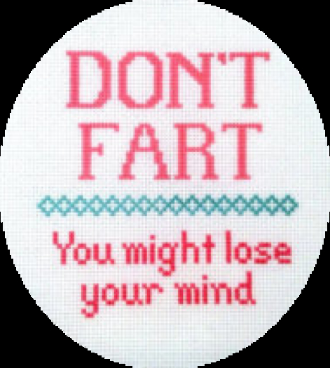 Don't Fart Needlework Texture