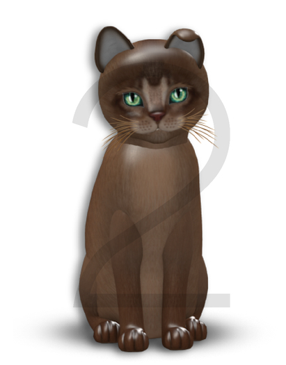 KittyCatS Box - 9T-F Abyssinian Ruddy - Normal / Flair - Chop Chop