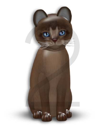 KittyCatS Box - 9T-M Abyssinian Ruddy - Normal / Illume - Frisky