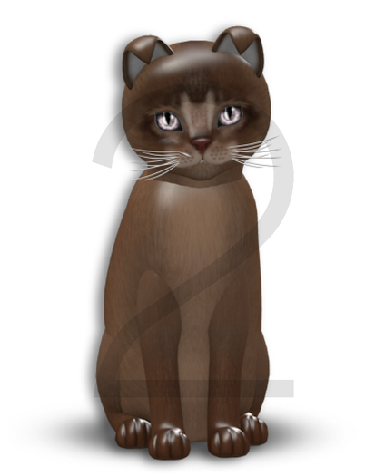 KittyCatS Box - 9T-M Abyssinian Ruddy - Normal
